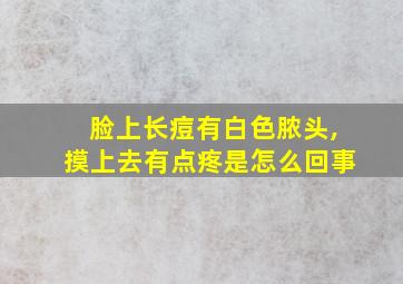 脸上长痘有白色脓头,摸上去有点疼是怎么回事