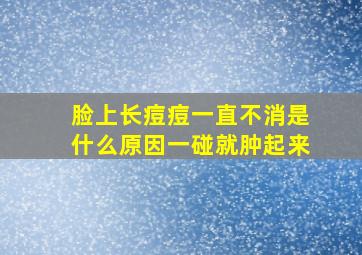 脸上长痘痘一直不消是什么原因一碰就肿起来