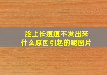 脸上长痘痘不发出来什么原因引起的呢图片