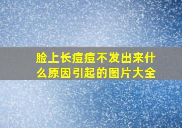 脸上长痘痘不发出来什么原因引起的图片大全