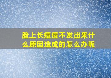 脸上长痘痘不发出来什么原因造成的怎么办呢