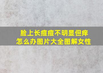 脸上长痘痘不明显但痒怎么办图片大全图解女性