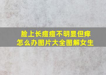 脸上长痘痘不明显但痒怎么办图片大全图解女生