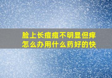 脸上长痘痘不明显但痒怎么办用什么药好的快