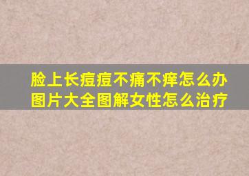 脸上长痘痘不痛不痒怎么办图片大全图解女性怎么治疗