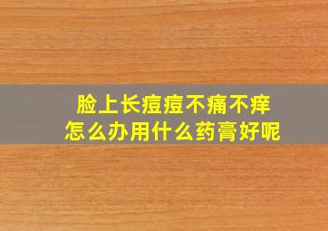 脸上长痘痘不痛不痒怎么办用什么药膏好呢