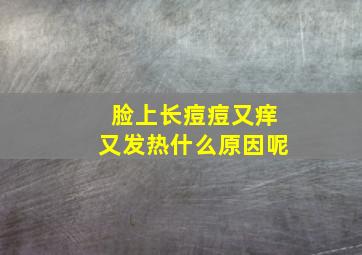 脸上长痘痘又痒又发热什么原因呢