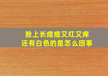 脸上长痘痘又红又痒还有白色的是怎么回事