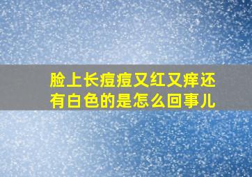 脸上长痘痘又红又痒还有白色的是怎么回事儿