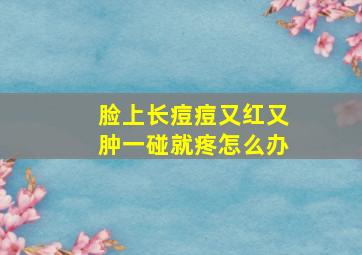 脸上长痘痘又红又肿一碰就疼怎么办