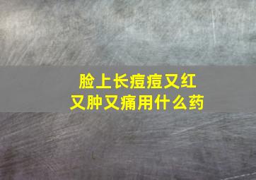 脸上长痘痘又红又肿又痛用什么药