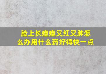 脸上长痘痘又红又肿怎么办用什么药好得快一点