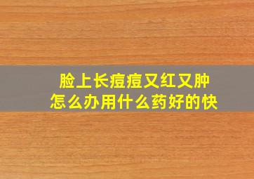 脸上长痘痘又红又肿怎么办用什么药好的快