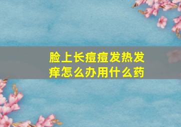 脸上长痘痘发热发痒怎么办用什么药