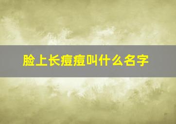 脸上长痘痘叫什么名字