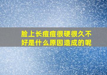 脸上长痘痘很硬很久不好是什么原因造成的呢