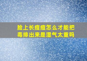 脸上长痘痘怎么才能把毒排出来是湿气太重吗