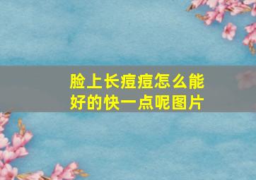 脸上长痘痘怎么能好的快一点呢图片