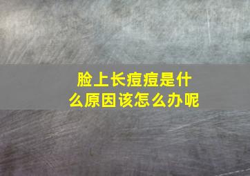 脸上长痘痘是什么原因该怎么办呢