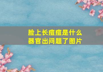 脸上长痘痘是什么器官出问题了图片