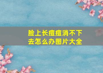 脸上长痘痘消不下去怎么办图片大全