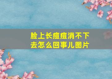 脸上长痘痘消不下去怎么回事儿图片