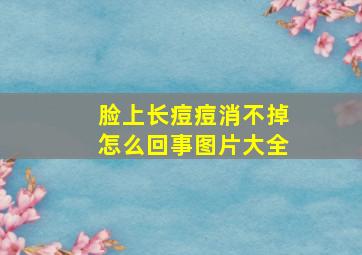 脸上长痘痘消不掉怎么回事图片大全