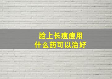 脸上长痘痘用什么药可以治好