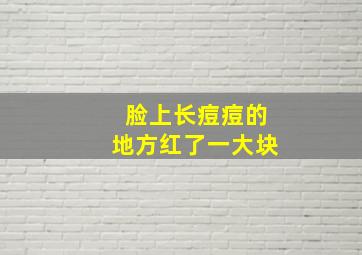 脸上长痘痘的地方红了一大块