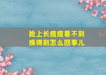 脸上长痘痘看不到摸得到怎么回事儿