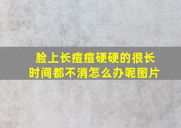 脸上长痘痘硬硬的很长时间都不消怎么办呢图片