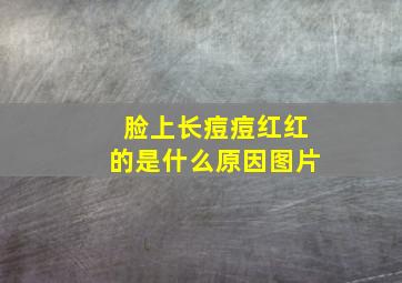 脸上长痘痘红红的是什么原因图片