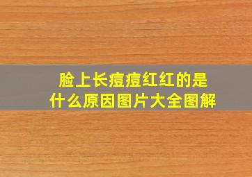 脸上长痘痘红红的是什么原因图片大全图解