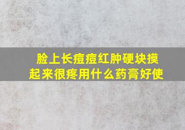 脸上长痘痘红肿硬块摸起来很疼用什么药膏好使