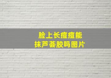 脸上长痘痘能抹芦荟胶吗图片