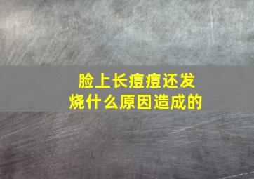 脸上长痘痘还发烧什么原因造成的