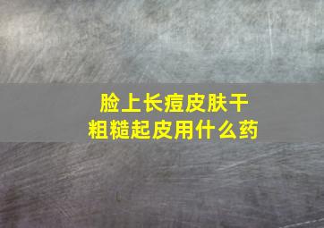 脸上长痘皮肤干粗糙起皮用什么药