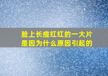 脸上长痘红红的一大片是因为什么原因引起的