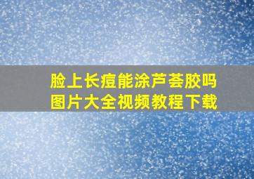 脸上长痘能涂芦荟胶吗图片大全视频教程下载