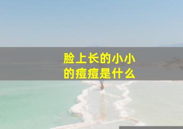 脸上长的小小的痘痘是什么