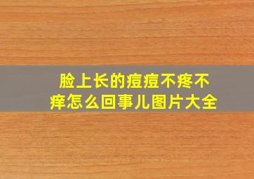 脸上长的痘痘不疼不痒怎么回事儿图片大全