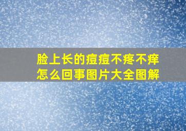 脸上长的痘痘不疼不痒怎么回事图片大全图解