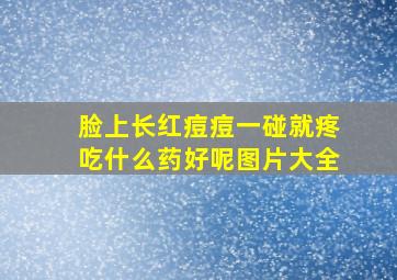 脸上长红痘痘一碰就疼吃什么药好呢图片大全