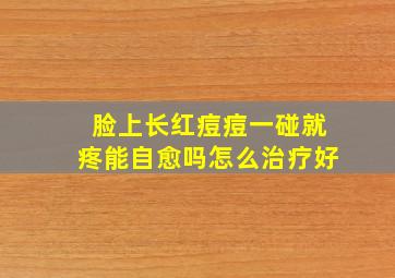 脸上长红痘痘一碰就疼能自愈吗怎么治疗好