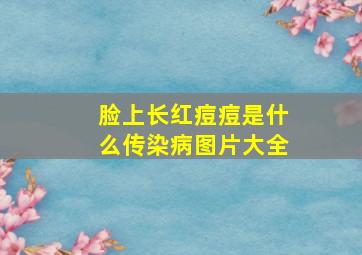 脸上长红痘痘是什么传染病图片大全