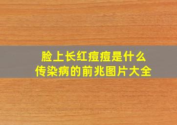 脸上长红痘痘是什么传染病的前兆图片大全