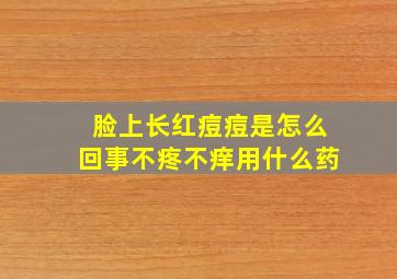 脸上长红痘痘是怎么回事不疼不痒用什么药