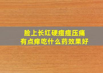 脸上长红硬痘痘压痛有点痒吃什么药效果好