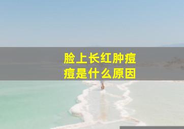 脸上长红肿痘痘是什么原因