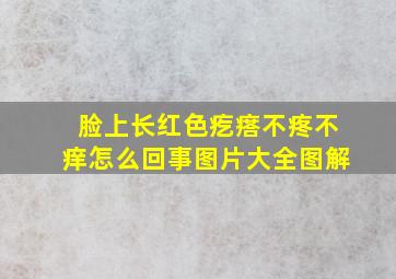 脸上长红色疙瘩不疼不痒怎么回事图片大全图解